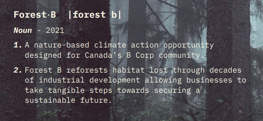 Forest-B-Sponsorship-2