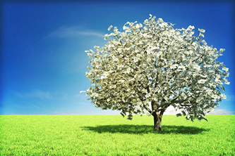 Money_Tree